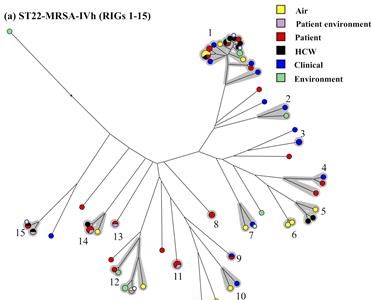 MRSA